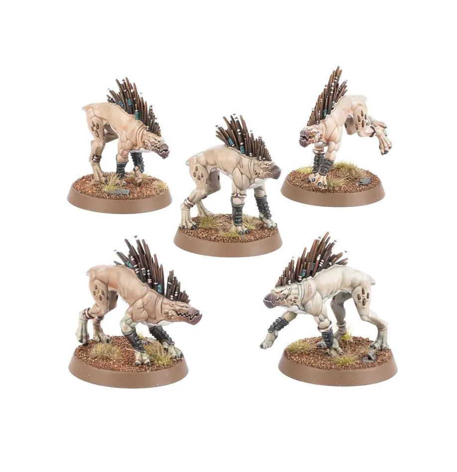 T'au Empire: Kroot Hounds 1