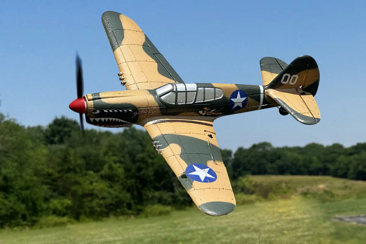 Rage R/C Curtiss P-40 Warhawk Micro Rtf Airplane W/Pass Rgra1305 1