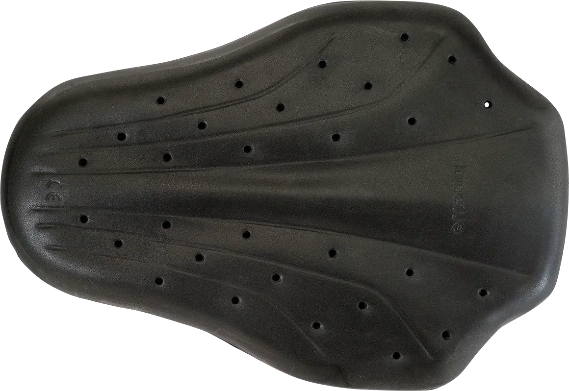 Z1R Medium Black Back Guard – Motorcycle Protective Gear (Model 2702-0286) 1